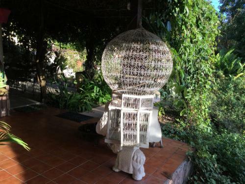 Hostal Racoon Lodge