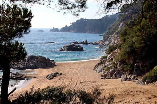 Acogedor Apartamento A 200m Del Mar