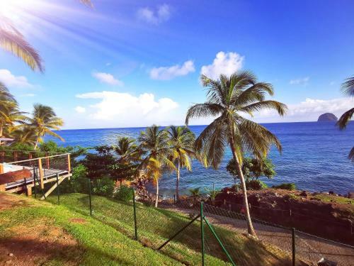 Apartamento Studio 414 Mer & Piscine