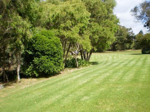 Bed & Breakfast Pinda Lodge