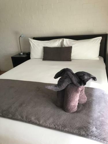 Hostal Zebras Guest House Geraldton