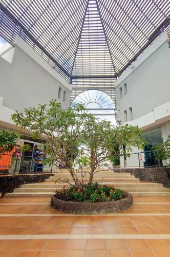 Apartamento Studio 10 Minutes Walk From Los Cristianos Beach