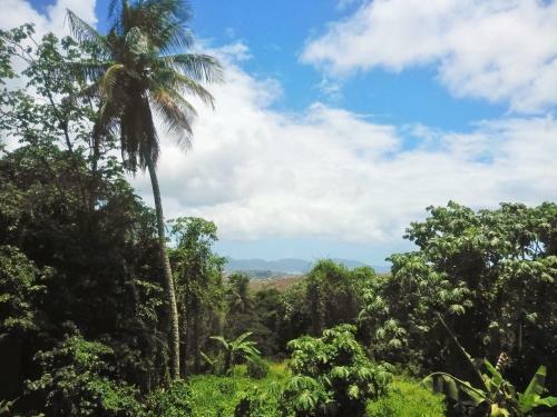 Maisonnette 60m2 Avec Jolie Vue Situ� � La Campagne