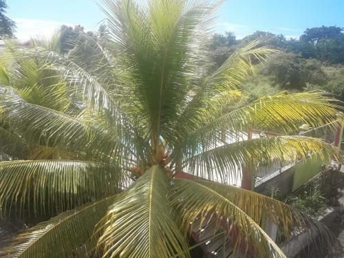 Apartamento Coin Tranquille