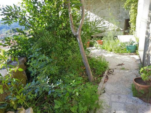Villa Catarina � Xuresvillas