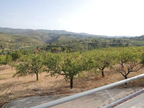 Bed & Breakfast Finca Mirador