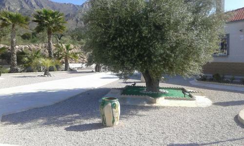 Bed & Breakfast La Dolce Vita