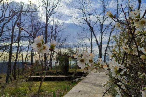 Casa Rural: La Casa M�gica de Gredos