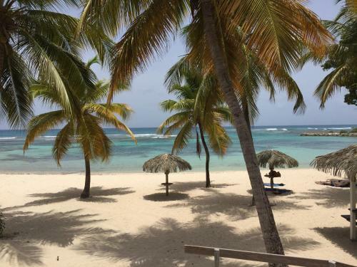 Apartamento Domaine de L'anse Des Rochers
