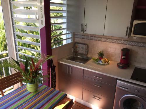 Apartamento Domaine de L'anse Des Rochers