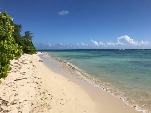 Apartamento Domaine de L'anse Des Rochers