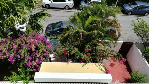 Apartamento Marina de Saint-fran�ois: Studio Avec Piscines