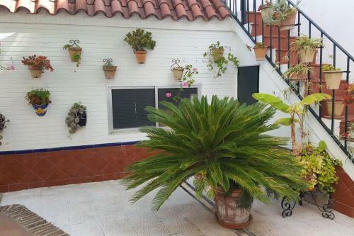 Apartamento Sevilla A Tus Pies