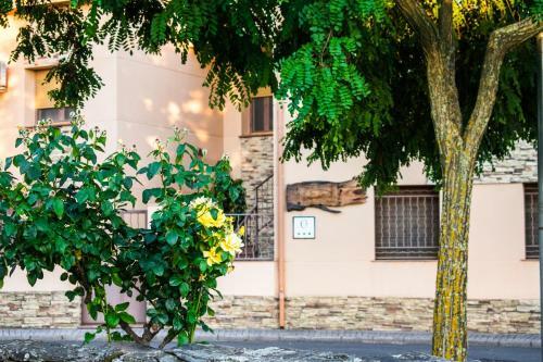 Casa Rural Las Eras En Monfrag�e