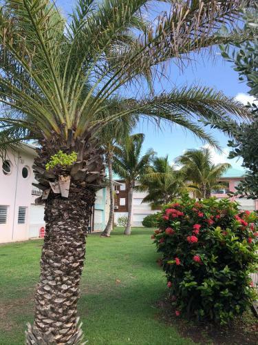 Apartamento Appartement de Charme Au Bord de Mer