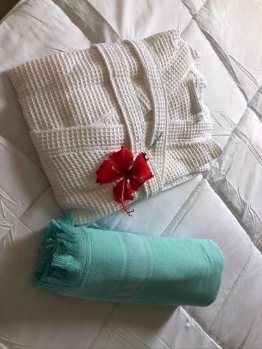Apartamento Appartement de Charme Au Bord de Mer