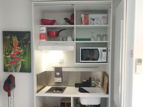 Apartamento Studio Papillon Manganao Saint Francois