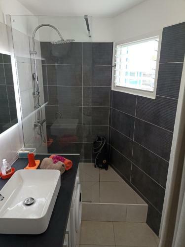Apartamento Passion Cara�bes Studio Grande Piscine Et Plage