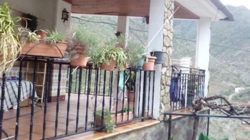 Apartamento Casa Del Rat�n Y La Rana