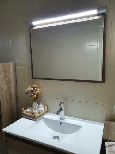 Apartamento Can Paco I Cinteta