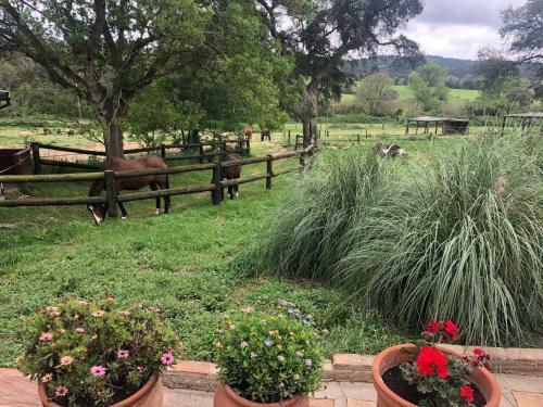 Agroturismo Can Companys
