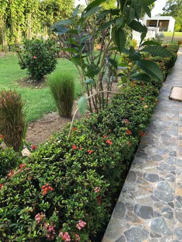 Villa Papillon