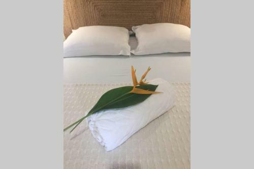 Villa Vue Mer Et For�t Primaire