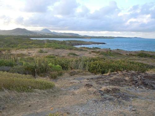 Apartamento Le Petit Macabou Lodges : Les Pieds Dans L'eau