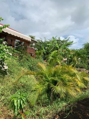 G�te Maison Flandrin Guadeloupe