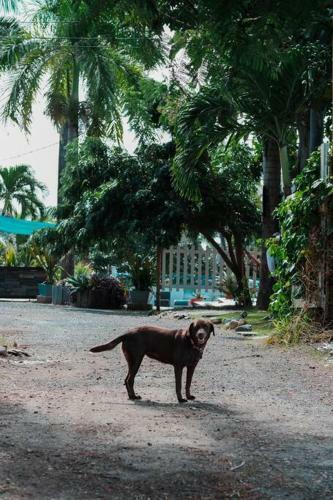 Apartamento Bilimbi Beachfront Farmstay W Pool