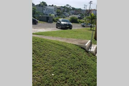 Apartamento Olive's Nest Of Liguanea