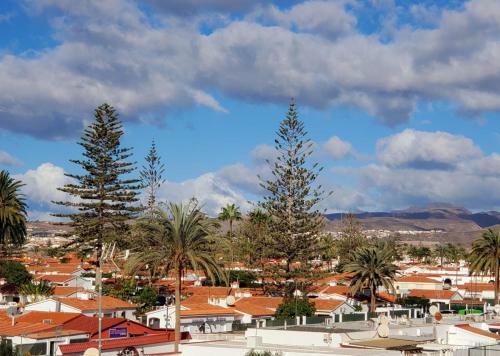 Las Camelias Apartments (E14) Pool And Solarium