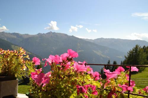 Hostal Pension Pichlerhof