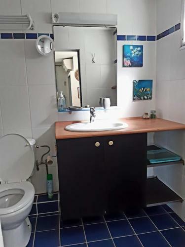 Apartamento Sainte-luce 2 T1 Hibiscus Et Colibris