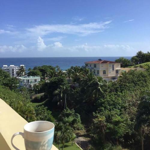 Apartamento Puntas Rincon Villa Penthouse #302