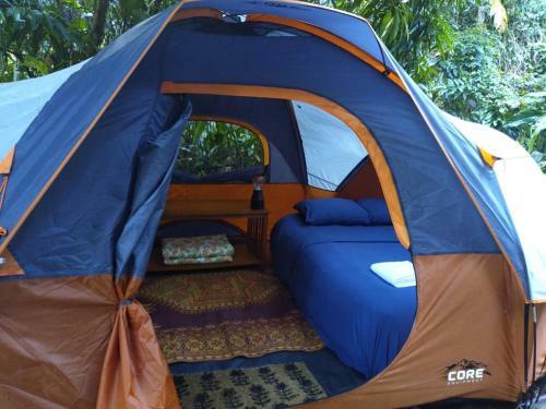 Bed & Breakfast La Casa de Vida Natural