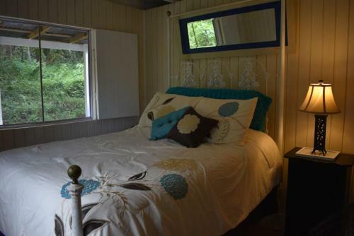 Bed & Breakfast La Casa de Vida Natural