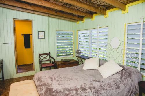 Bed & Breakfast La Casa de Vida Natural