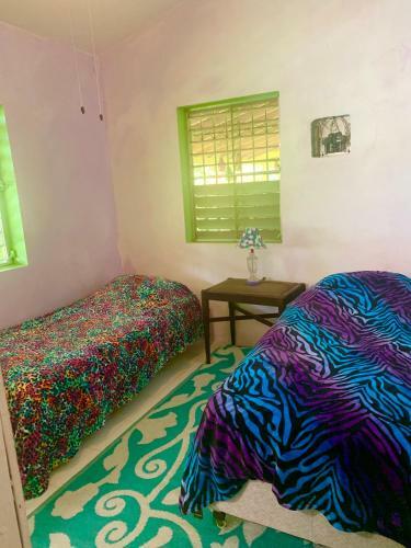Bed & Breakfast La Casa de Vida Natural
