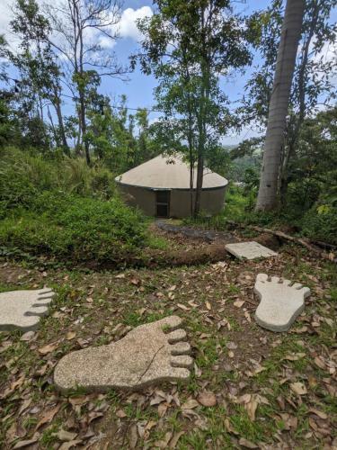 Bed & Breakfast La Casa de Vida Natural