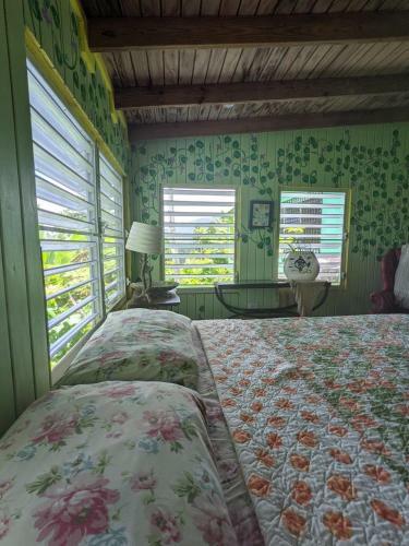 Bed & Breakfast La Casa de Vida Natural