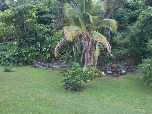 Bed & Breakfast La Casa de Vida Natural