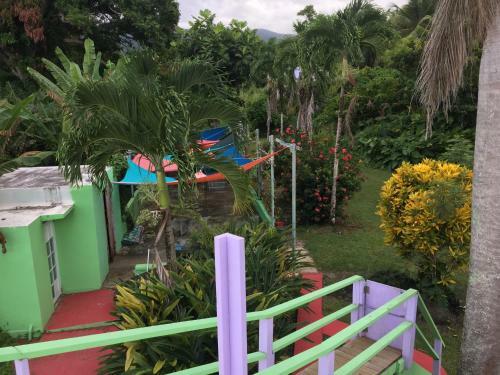 Bed & Breakfast La Casa de Vida Natural