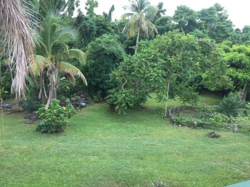 Bed & Breakfast La Casa de Vida Natural