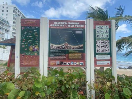 Apartamento Dalia Lovers By Sea Rentals