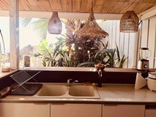 Apartamento Suite Tropical Garden Avec Vue Imprenable!!!