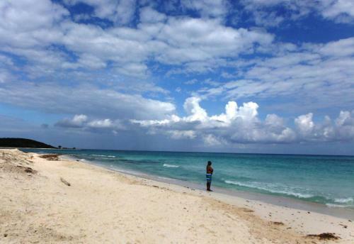 Beautiful 2-bed Apartment In Sunny Jamaica