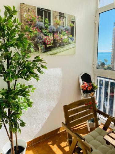 Apartamento Malagueta Beach Premium