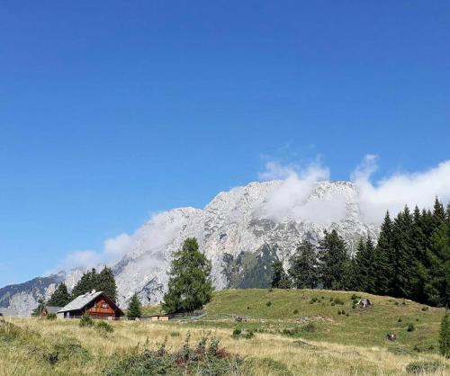 Agroturismo Urlaub Am Malerhof