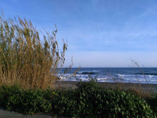 Apartamento Laguna Beach, Torrox Costa, M�laga